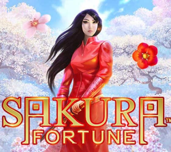 Sakura Fortune