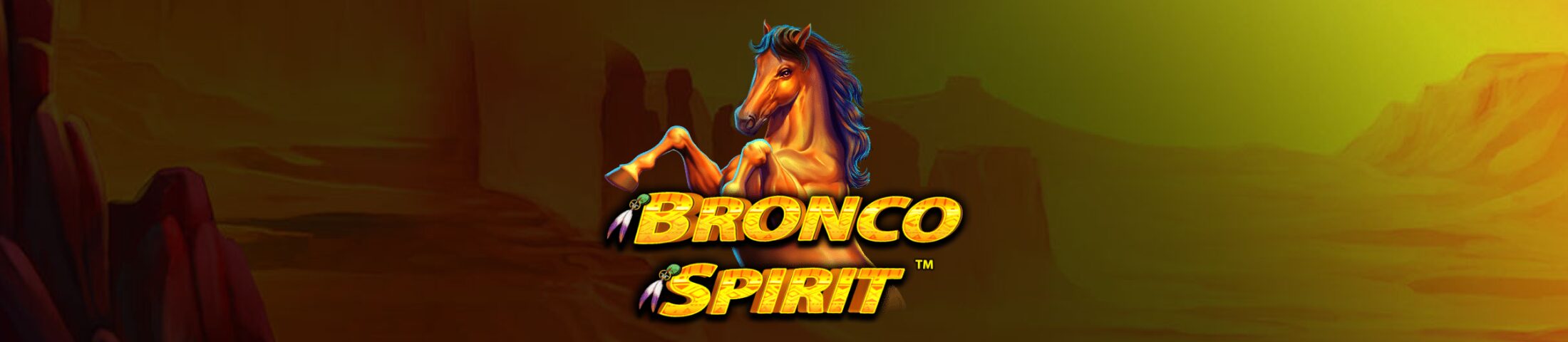 Bronco Spirit