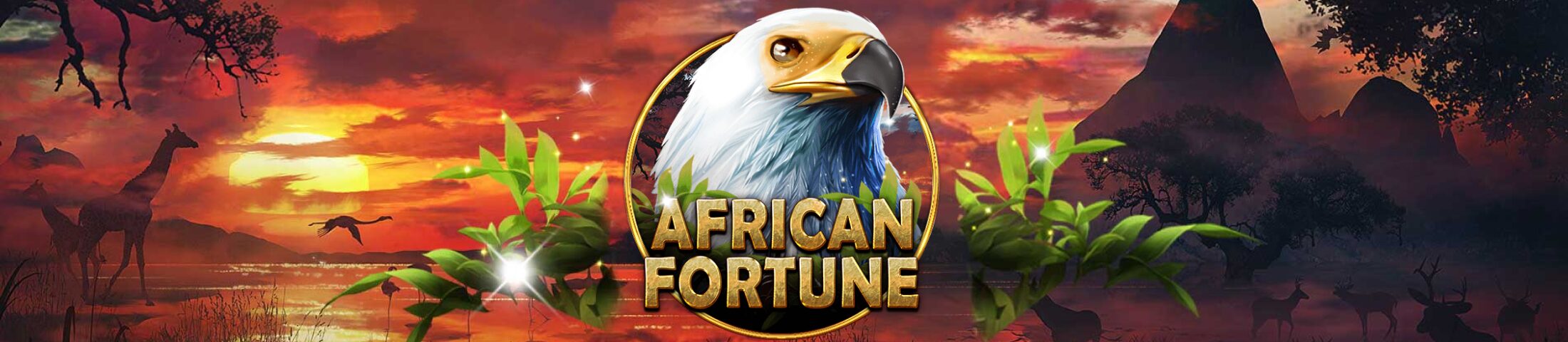 African Fortune